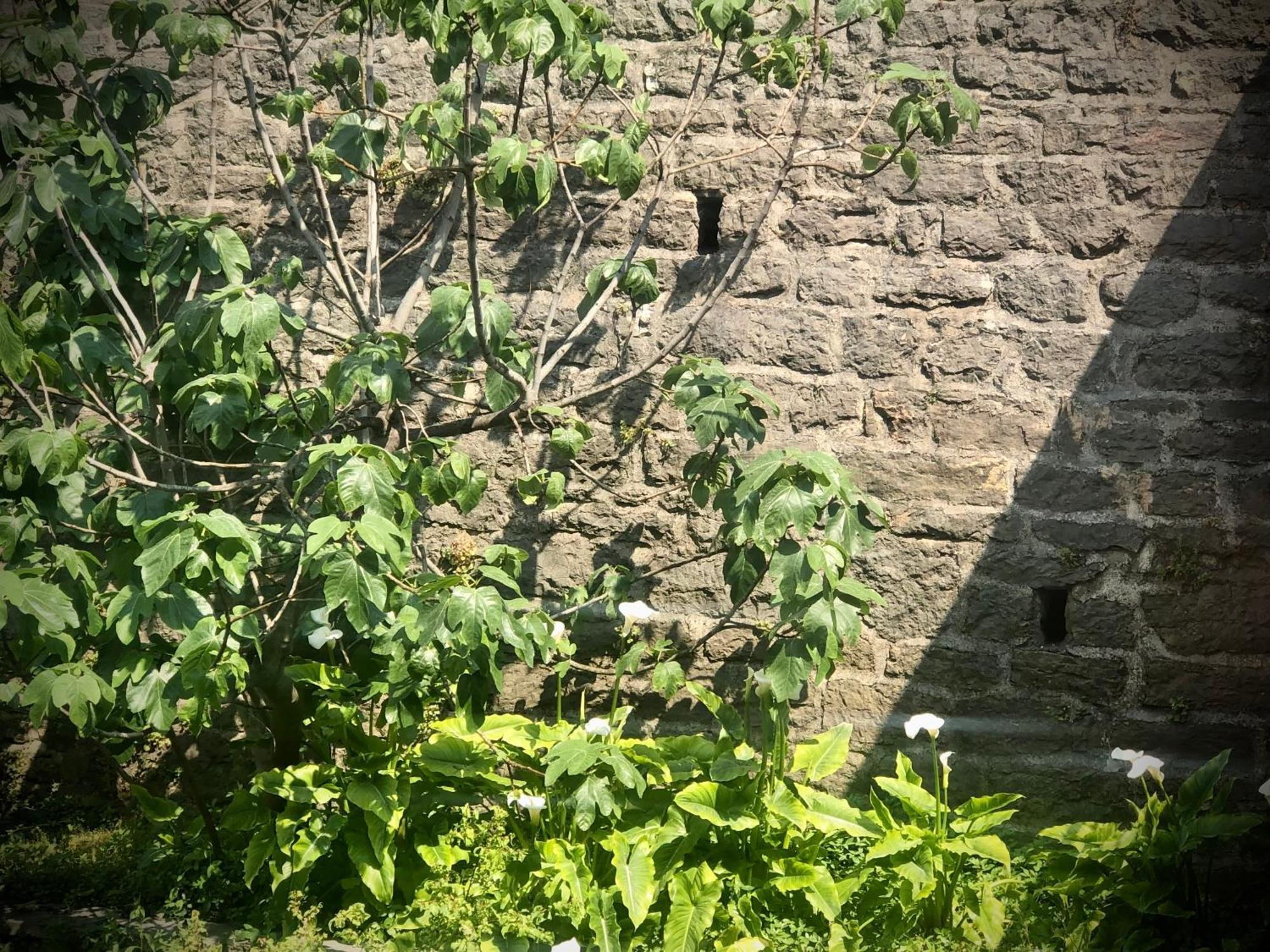 Villa Torre - Atmosfera Romantica Brenzone sul Garda Εξωτερικό φωτογραφία