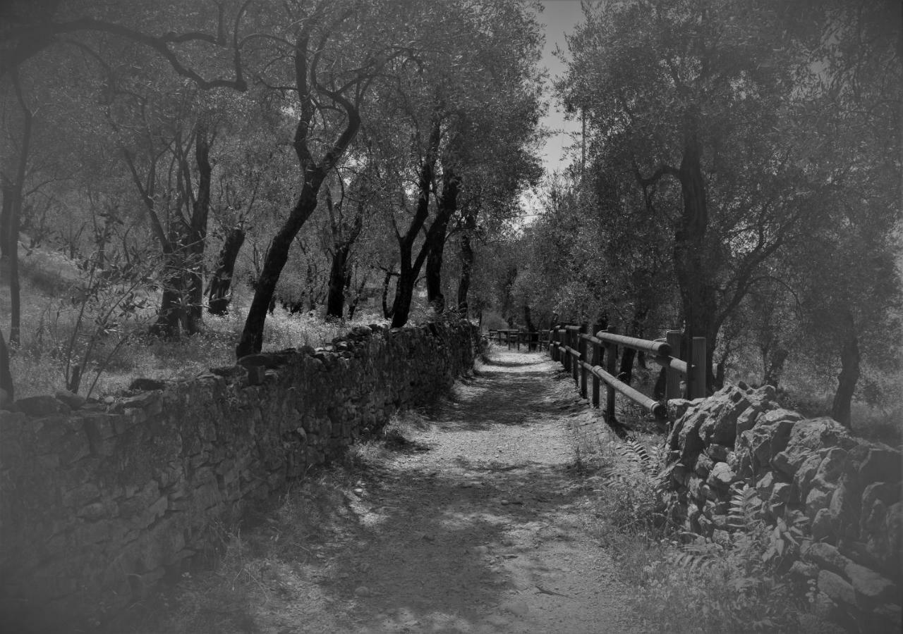 Villa Torre - Atmosfera Romantica Brenzone sul Garda Εξωτερικό φωτογραφία